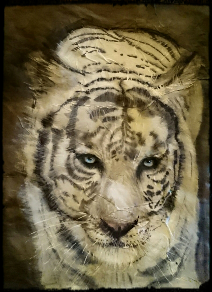 Varga Éva: Fehér tigris merengése, tus, akvarell, rizspapír